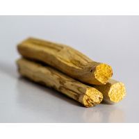 Potion Slinger Palo Santo Stick